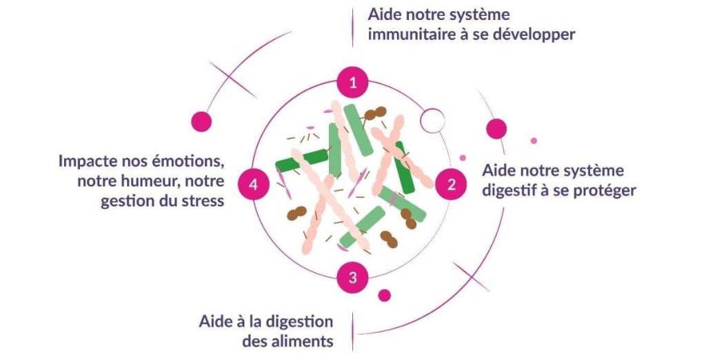 Probiotique diverticules