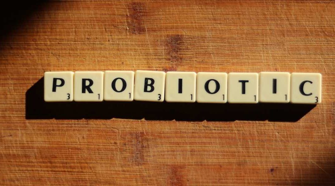 Probiotique pour diverticules : votre allié discret pour un intestin apaisé